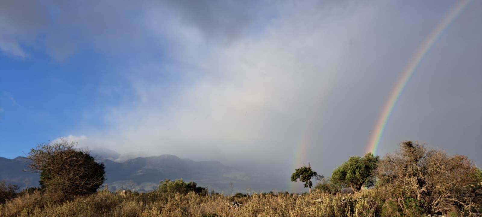Doppelter Regenbogen über einer kretischen Berglandschaft, davor Olivenbäume und wilde Gräser